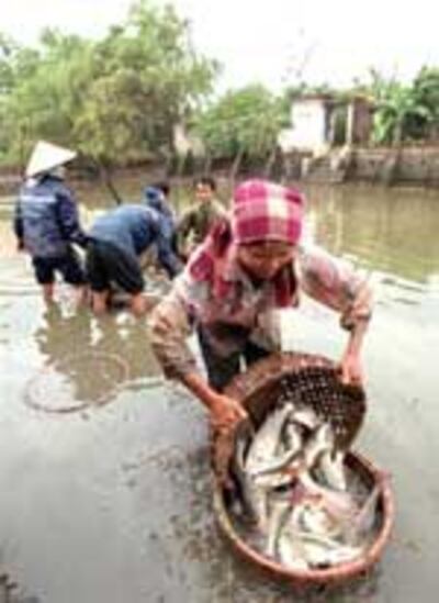 FishFarmer150.jpg