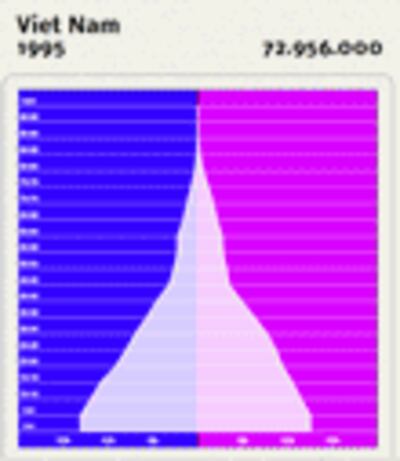 Biểu đồ dân số/tuổi tác của Việt Nam năm 1995- Tài liệu của Cơ quan dân số Liên Hiệp Quốc.