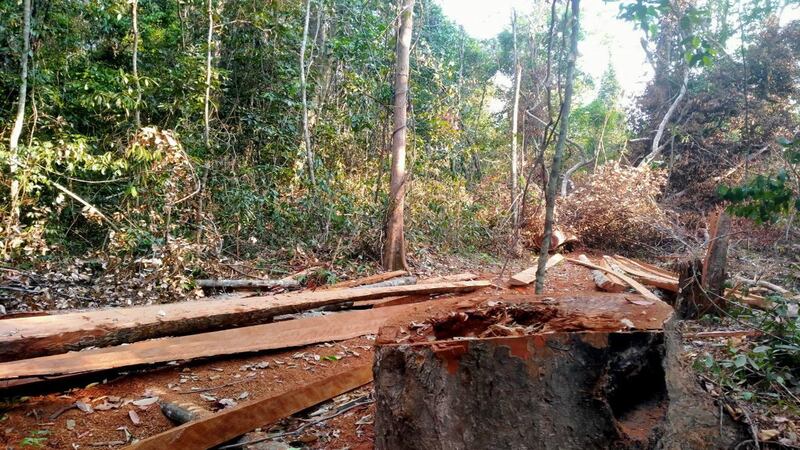 Preah_Roka_Preah_Vihear_072921_by_Community_11a.jpg