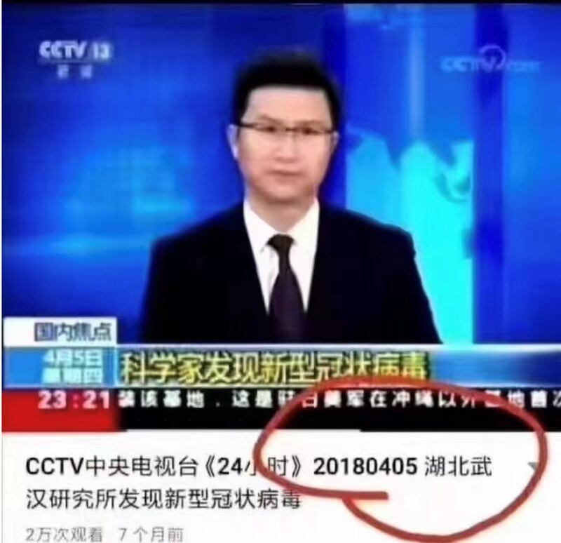 武漢P4實驗室主任石正麗稱，於2015年已雜交出新冠病毒。（網絡圖片）