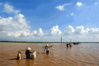 Lụt ven sông Hồng 2001- AFP photo