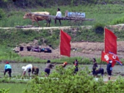nk_farm-200.jpg