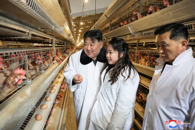 2024년 1월, 김정은 국무위원장과 그의 딸 김주애가 평양 인근의 광천닭공장을 시찰하는 모습.