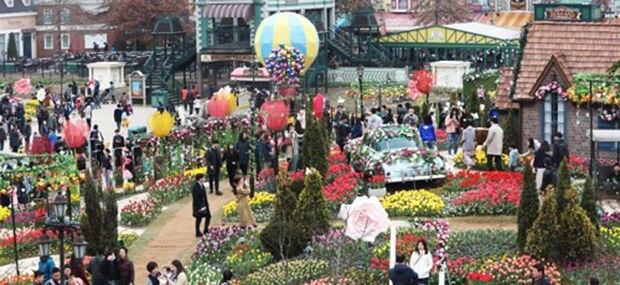 경기도 용인시 에버랜드에서 열리고 있는 튤립축제를 찾은 시민들이 활짝 핀 튤립을 보며 봄 정취를 만끽하고 있다.