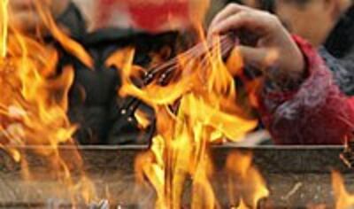 FireDog200.jpg
