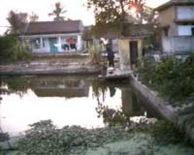 ThaiBinhPondWater200.jpg