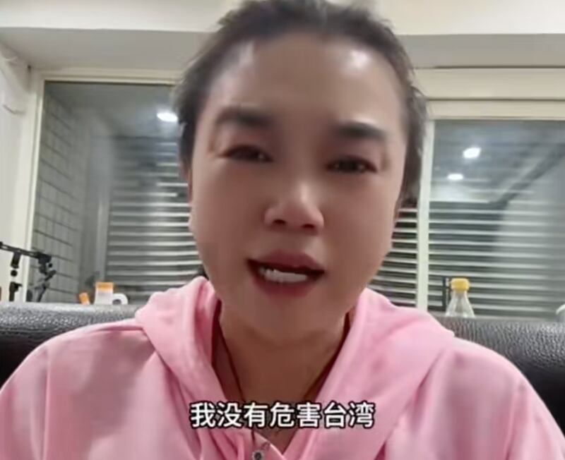 「小微」在影片中哭訴「我沒有危害台灣」。