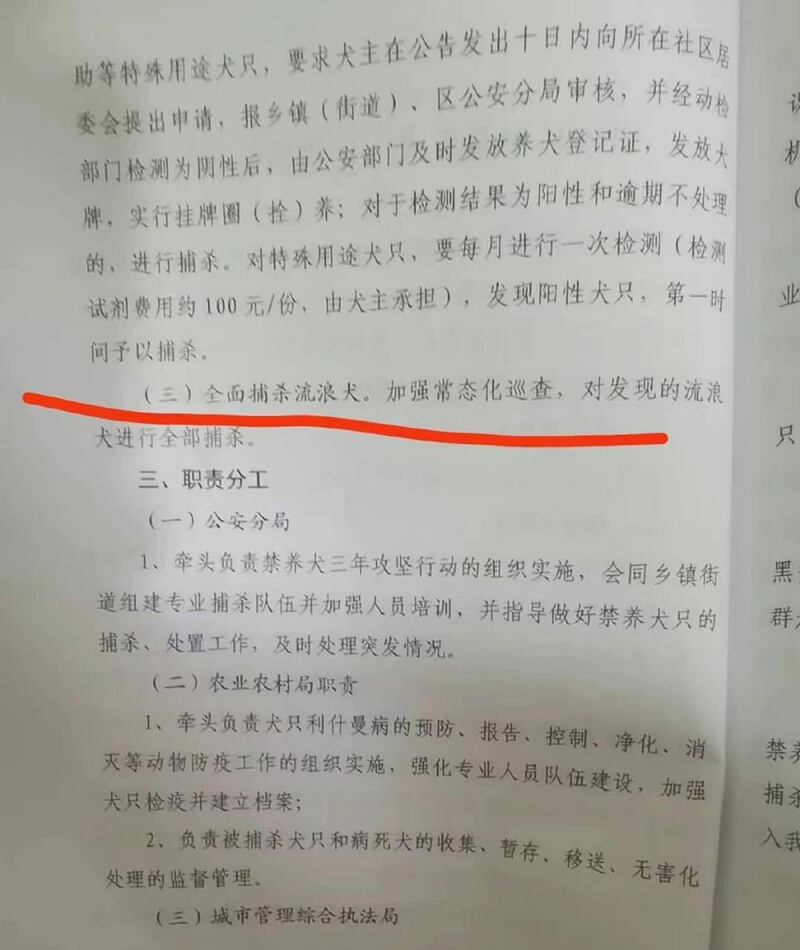 网上广泛流传的照片，显示了当局要求在井陉矿区大规模杀狗、禁养狗的文件。（来自微博）
