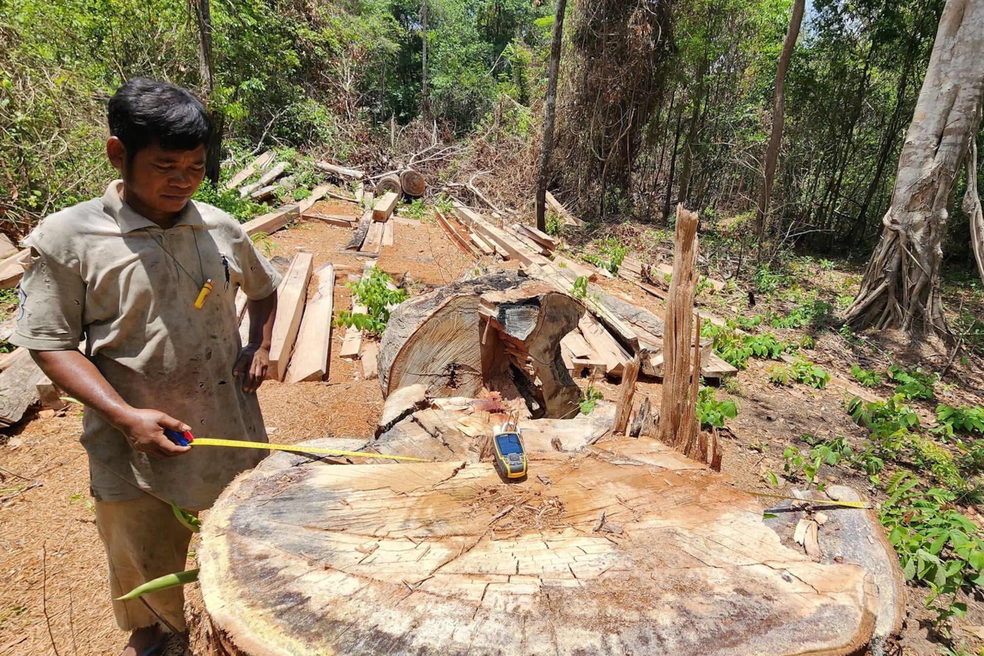 Indigenous people in Preah Vihear found the deforestation in Prey Preah Rokar.