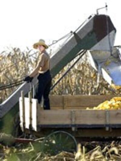 UsFarmer150.jpg