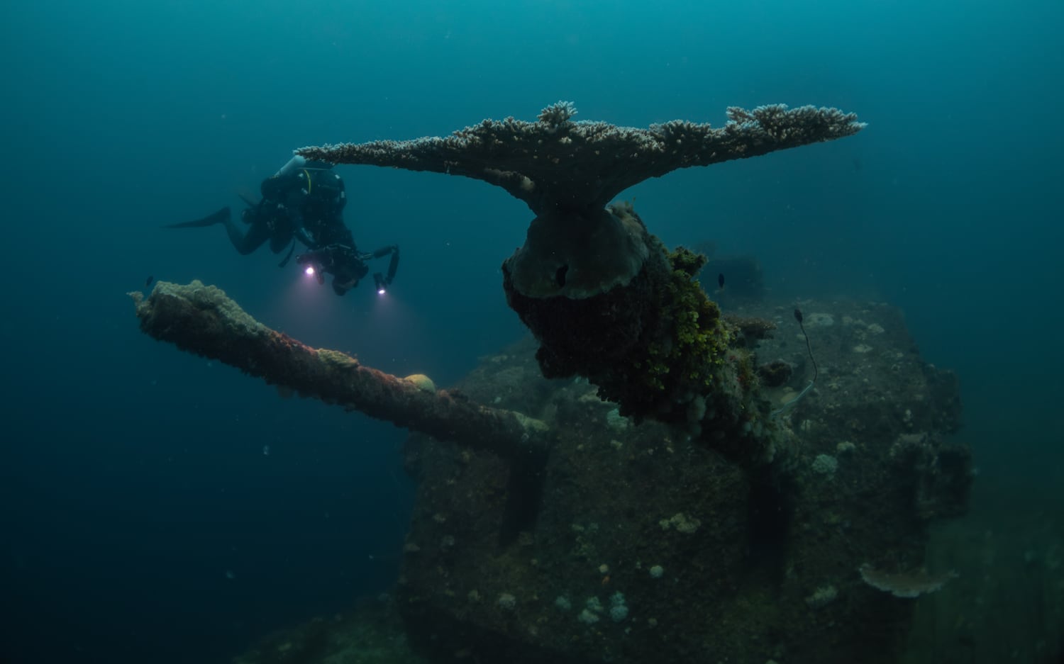 A National Geographic Pristine Seas diver swims next to the USS Saratoga aircraft carrier shipwreck at Bikini Atoll, Marshall Islands in this 2023 photo provided by Pristine Seas.