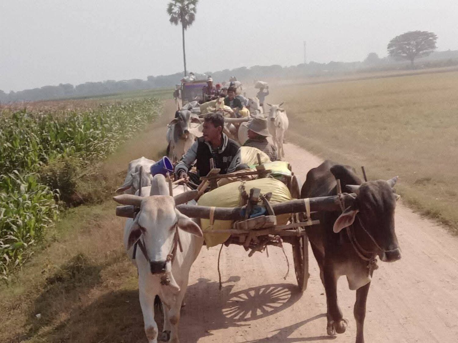 Myanmar junta troops massacre 11 villagers, most too old to flee, residents say