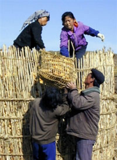 farm_harvest1_200