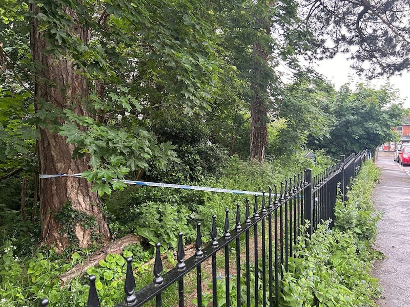 Matthew Trickett,周日(19日)下午被發現倒斃於英格蘭東南部一個公園內,警方正調查案件,稍後會驗屍確定死因。(網民提供)