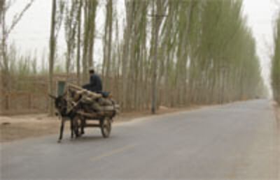 IshekHarwa-200.jpg
