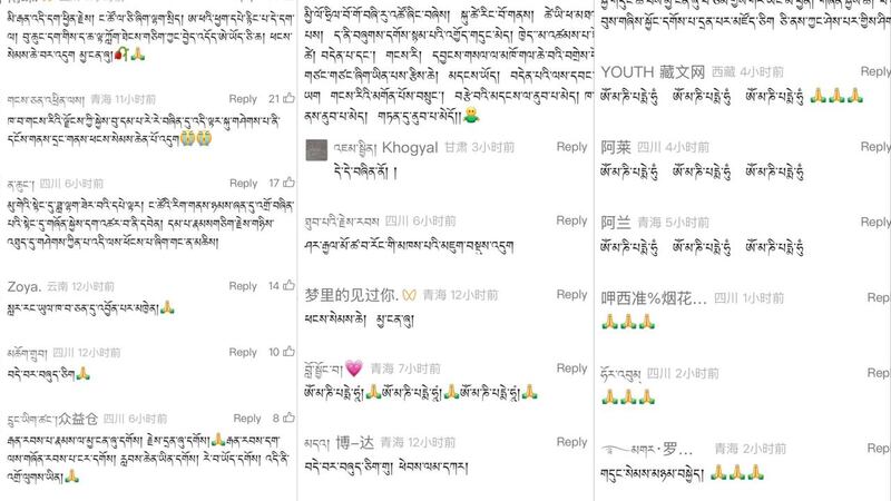 WhatsApp Image 2025-02-17 at 3.00.19 PM.jpeg