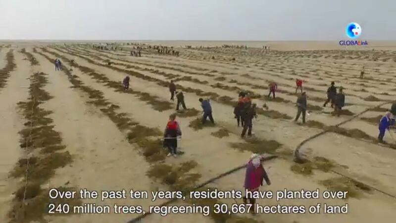 خىتاي تاشقى ئىشلار مىنىستىرى ياردەمچىسى خۇئا چۈنيىڭنىڭ(Hua Chunying) ئىجتىمائىي تاراتقۇ ھېسابىدا ھەمبەھىرلەنگەن ئۇيغۇر ئېلىدىكى قۇرۇلۇشلار بىلەن مۇناسىۋەتلىك تەشۋىقات ۋىدىئوسىدىن ئېلىنغان قۇرۇلۇشلاردا مەجبۇرى ئىشلەۋاتقان ئۇيغۇرلاردىن بىر كۆرۈنۈش.