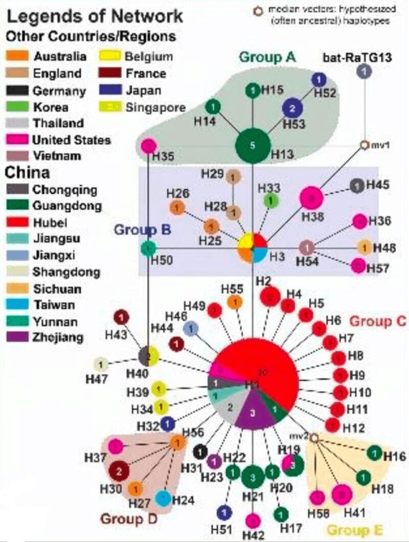 潘怀宗引用中国研究的基因序列与病毒起源。(截图自论文)