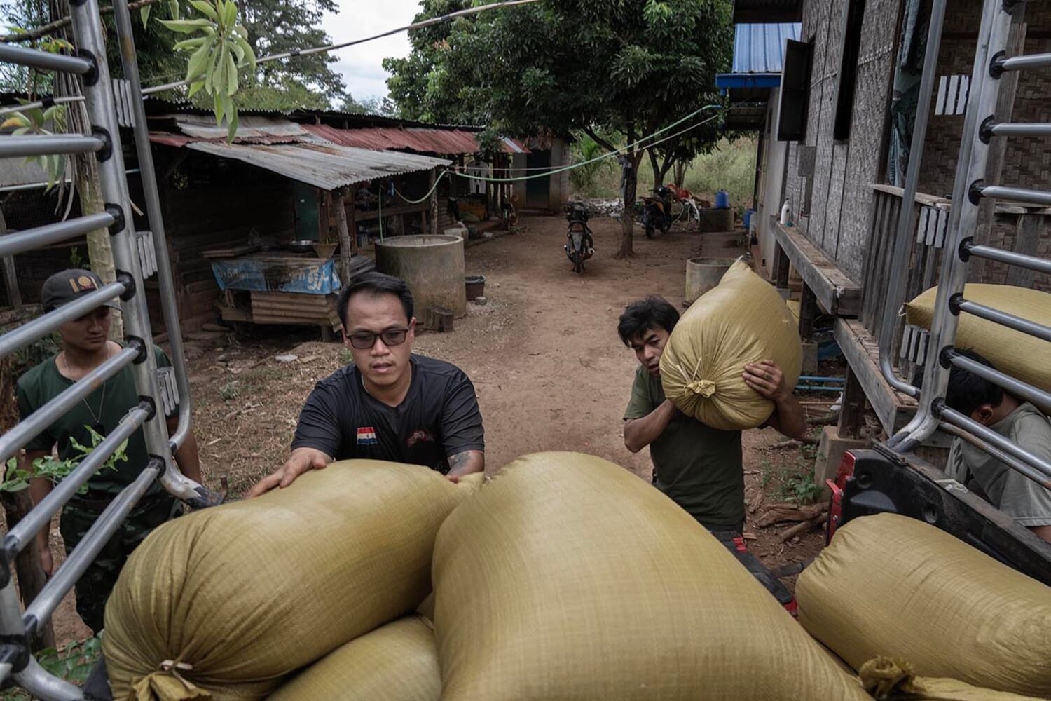 Aung Zai Ya, left, a leader in the Free Burma Rangers organization in Kayah state, loads newly harvested paddy rice belonging to civilians at Phuk Khe village to take to safer locations in southern Shan state, Myanmar, Oct. 30, 2024.