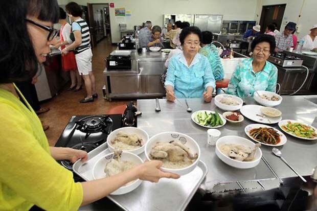 중복인 27일 오전 광주 북구 남도향토음식박물관에서 박물관 직원들이 경로당 어르신들에게 삼계탕 대접을 하고 있다.
