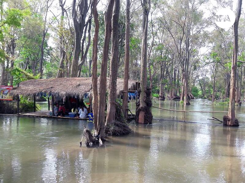 ទិដ្ឋភាព​រមណីយដ្ឋាន​អេកូទេសចរណ៍​សម្រស់​ធម្មជាតិ​ទន្លេ​មេគង្គ ស្ថិត​ក្នុង​សង្កាត់​សាមគ្គី ក្រុង​ស្ទឹងត្រែង កាល​ពី​ថ្ងៃ​ទី​១៦ ខែ​មករា ឆ្នាំ​២០១៧។ RFA/Men Sothyr