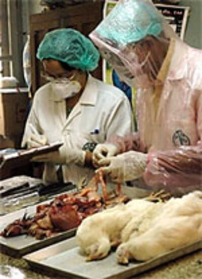 bird_flu_150px.jpg