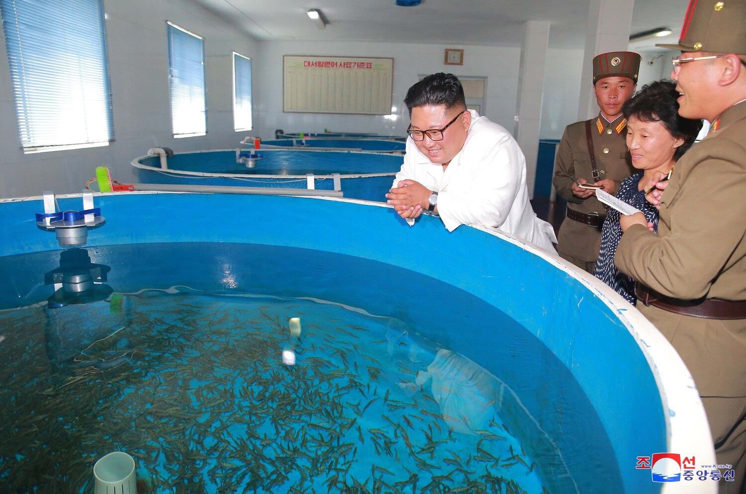 사진은 지난 2018년 김정은 위원장이 북한군 산하 양어장을 방문한 모습.