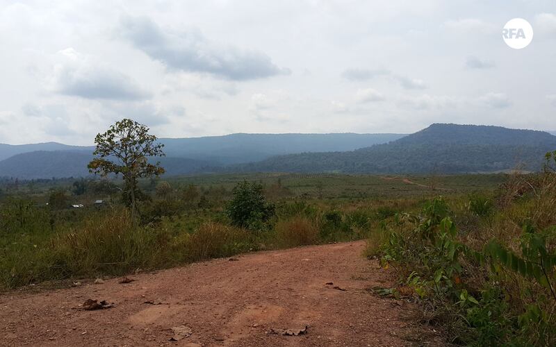 ឧទ្យាន​ជាតិ​ព្រះមុនីវង្ស​បូកគោ (ថត​ពី​ចម្ងាយ) ត្រង់​ភូមិសាស្ត្រ​ស្រុក​ឈូក ខេត្ត​កំពត ដែល​ប្រជាពលរដ្ឋ​អះអាង​ថា​មាន​ករណី​កាប់​ឈើ​ដឹក​ចេញ​ជា​បន្តបន្ទាប់។ រូបថត​ថ្ងៃ​ទី​២៣ ខែ​កុម្ភៈ ឆ្នាំ​២០១៧។ 