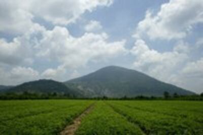MoiTruong