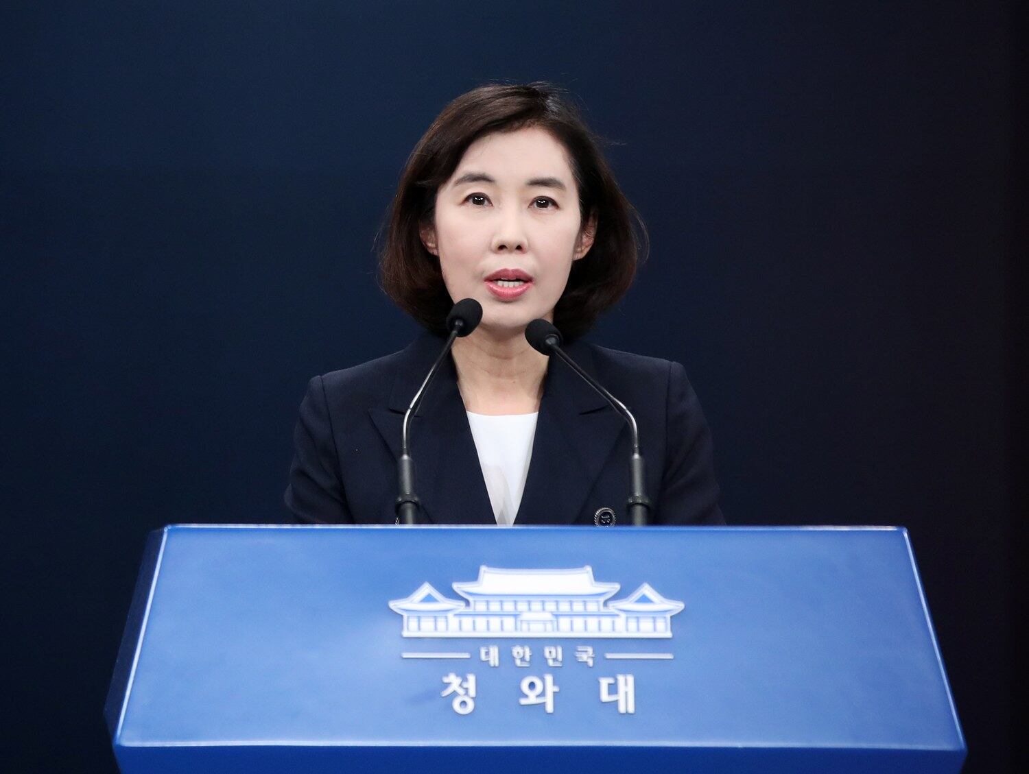 박경미 청와대 대변인이 22일 오전 춘추관에서 문재인 대통령과 김정은 북한 국무위원장이 친서를 주고 받은 것과 관련해 브리핑하고 있다.