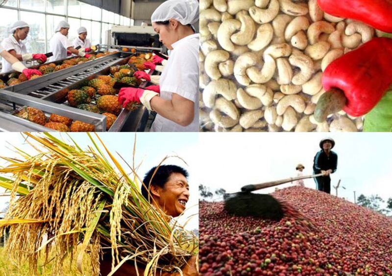 Một số sản phẩm nông nghiệp Việt Nam (minh họa)