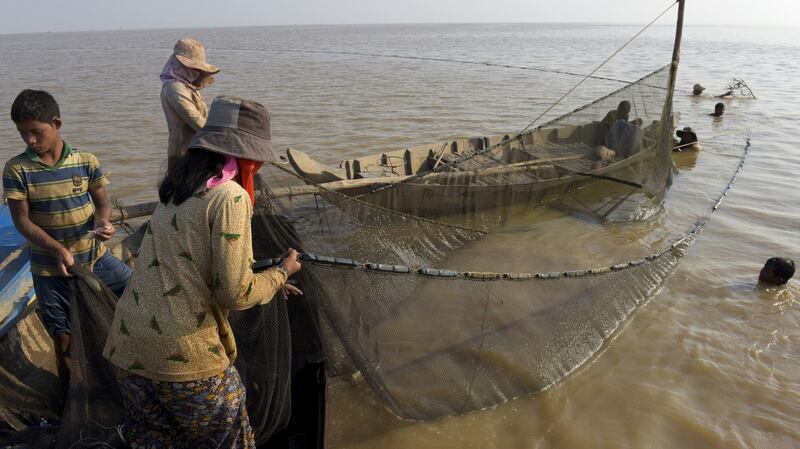 Villagers pull up a fishing net on the Tonle Sap Lake in Siem Reap, in a file photo.