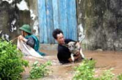 FloodRescued200.jpg