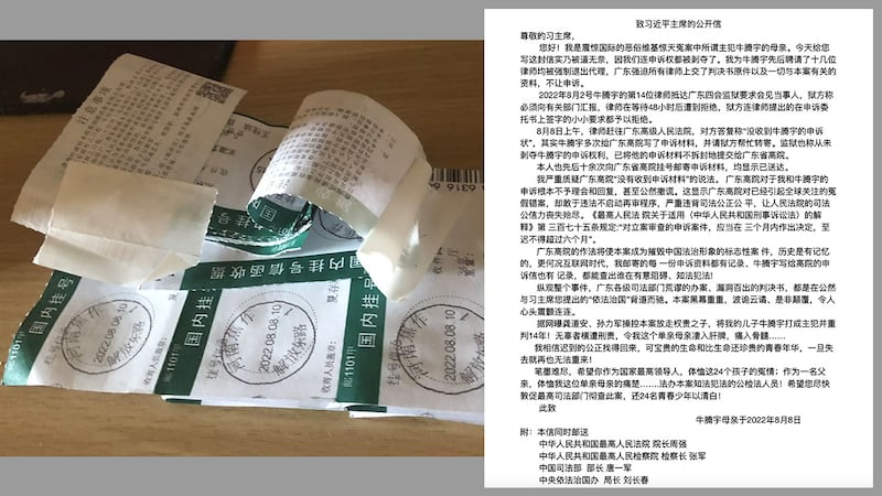 因廣東省高院推諉不啟動申訴程序的責任,牛騰宇母親於8月8日再致信習近平,要求他為「惡俗維基」案24名年輕人申冤。(牛騰宇母親提供)