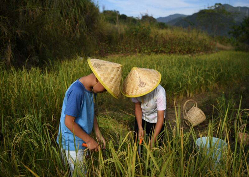 china-food3.jpg