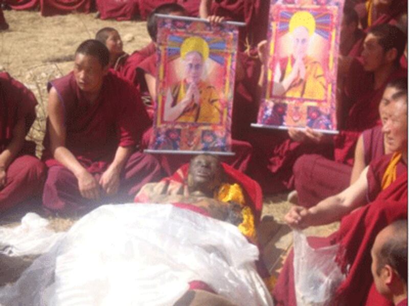 tibet-Sanam-Darjee-body-400.gif