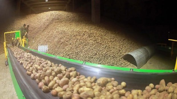 North Korea Exaggerates Food Shortage Severity to Request 1.4 Million Tons in Food Aid