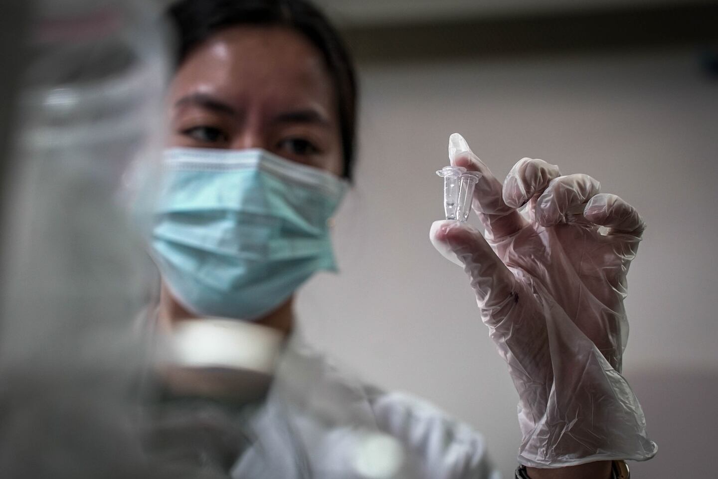 In Philippines, researchers engineer rice varieties to adapt to ...