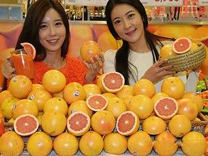 롯데마트 서울역점에서 모델이  감기예방과 피로회복에 효과가 탁월한미국 플로리다산 햇 자몽을 선보이고 있다. 