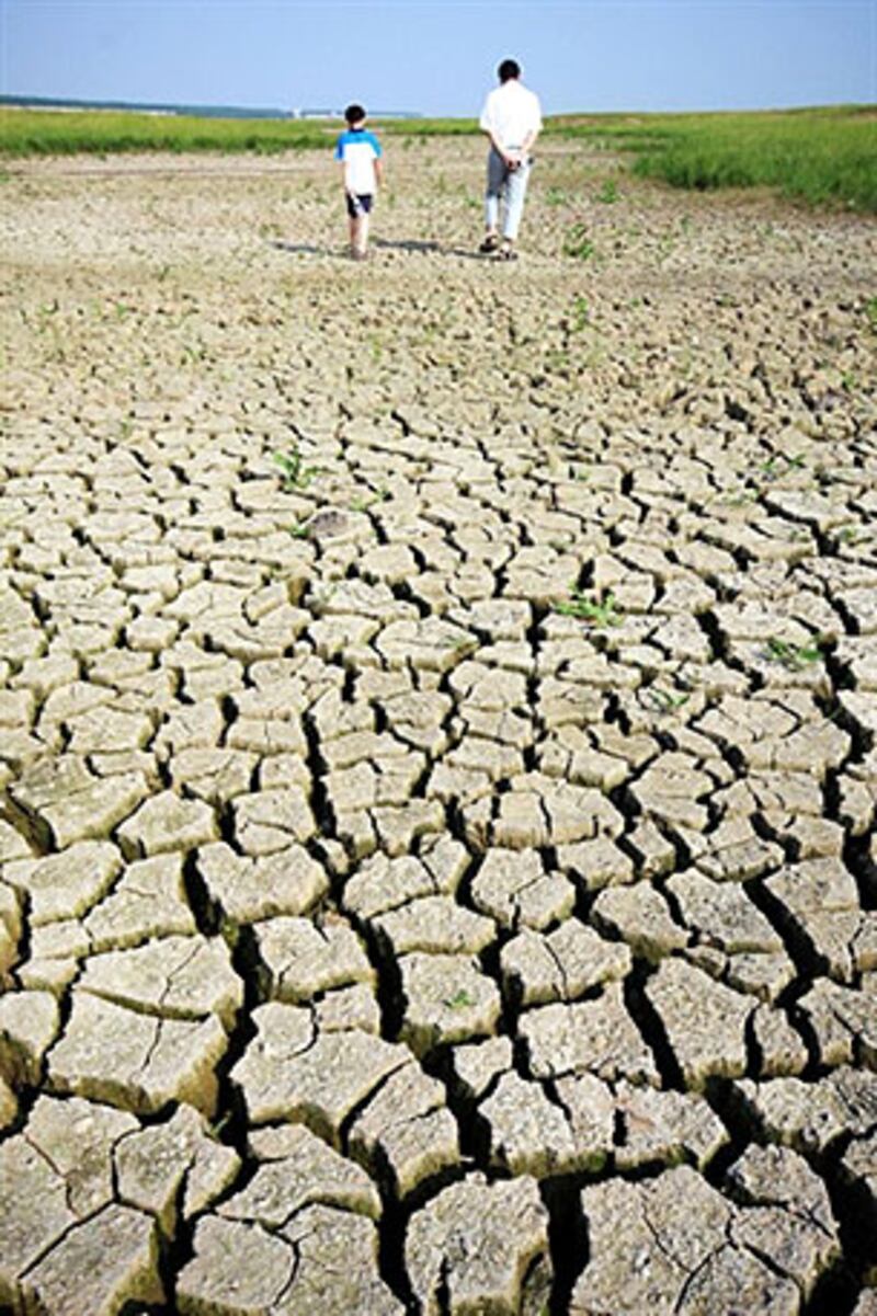 drought0529_305.jpg