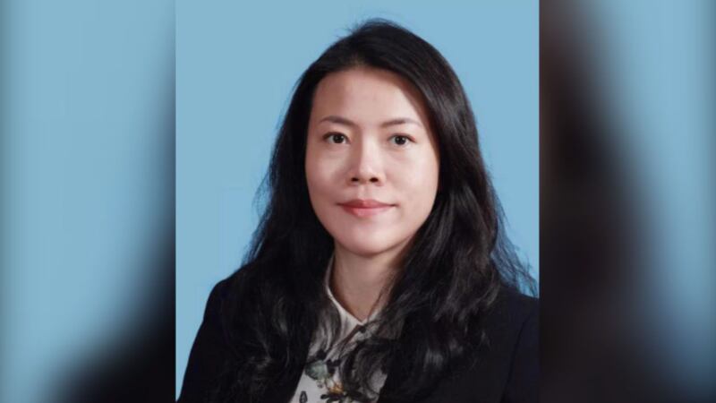 在約500名中國入籍者中，半島電視台公開的8名持有塞浦路斯護照的中國人資料，其中包括亞洲首富碧桂園的女當家楊惠妍。 （百度百科）