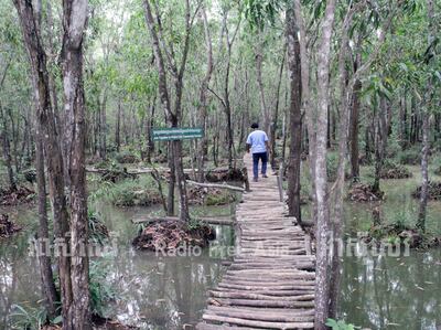 ព្រៃ​សហគមន៍​ក្នុង​រមណីយដ្ឋាន​ធម្មជាតិ​ព្រៃ​គគីរ នៅ​សង្កាត់​បាទី ក្រុង​បាវិត ខេត្ត​ស្វាយរៀង។ រូបថត​ថ្ងៃ​ទី​២៤ ខែ​សីហា ឆ្នាំ​២០១៧។ RFA/Tha Kitya