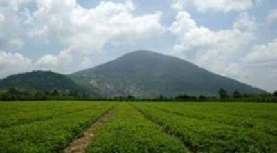 Đất nông thôn Tây Ninh