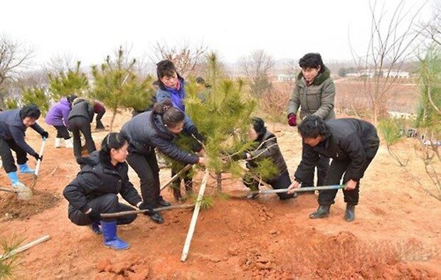 식수절(우리의 식목일)을 맞아 산림 조성을 위한 북한 주민들의 나무심기 행사 모습.