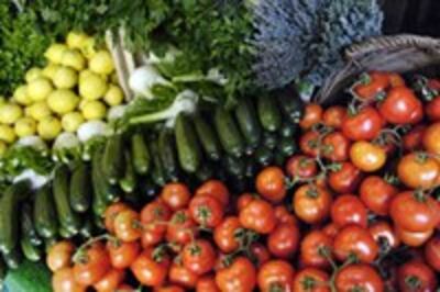 080424-Veggie_200.jpg