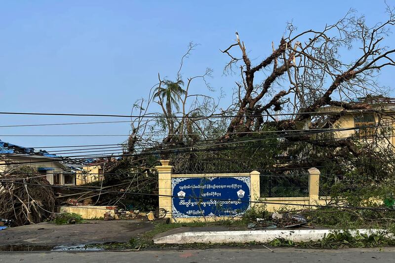 စစ်တွေမြို့၊ လူမှုဝန်ထမ်းကယ်ဆယ်ရေးရုံးရှိ သစ်ပင်ကြီးတစ်ပင် လဲကျနေသည်ကို မြင်တွေ့ရစဉ်။ (Photo: Citizen Journalist)