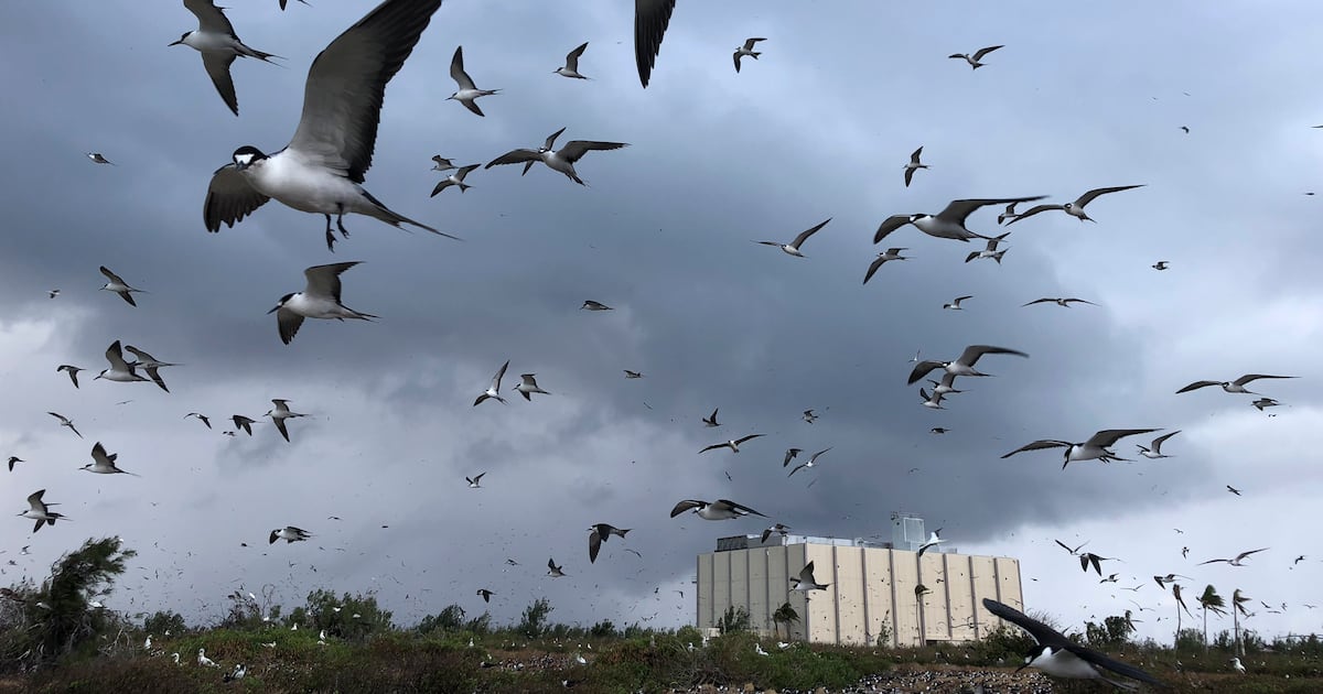 US Öffnet Pazifischer Ozeanschutzgebiet zum kommerziellen Fischen US Öffnet Pazifischer Ozeanschutzgebiet zum kommerziellen Fischen