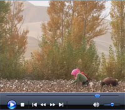 BattlingTheSandsInChinaVideo200.jpg