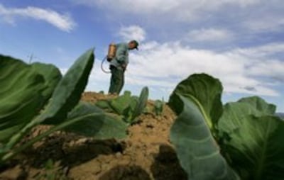 spraying-pesticide-250.jpg