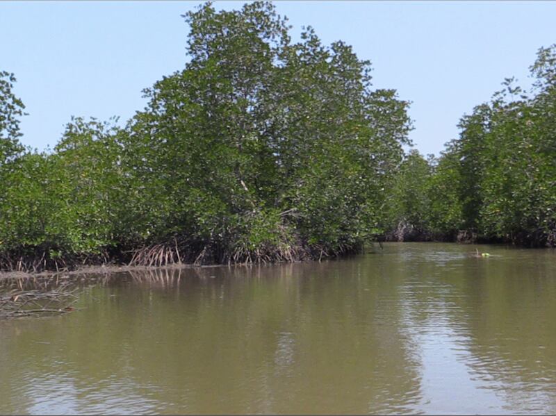 ផ្ទៃបឹងកង្កែប ស្ថិតក្នុងឃុំរាម ស្រុកព្រៃនប់ ខេត្តព្រះសីហនុ។ រូបថតកាលពីថ្ងៃទី១២ ខែឧសភា ឆ្នាំ២០១៦ RFA/Den Ayuthyea